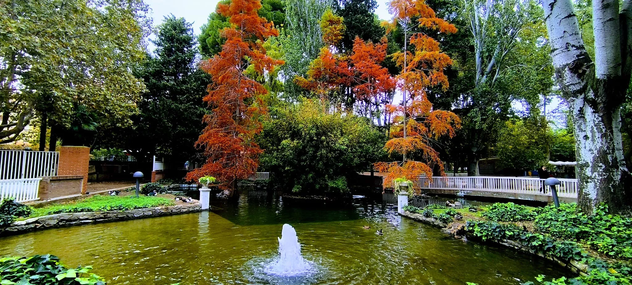 Parque Miguel Servet de Huesca. Foto Joaquín Santafé