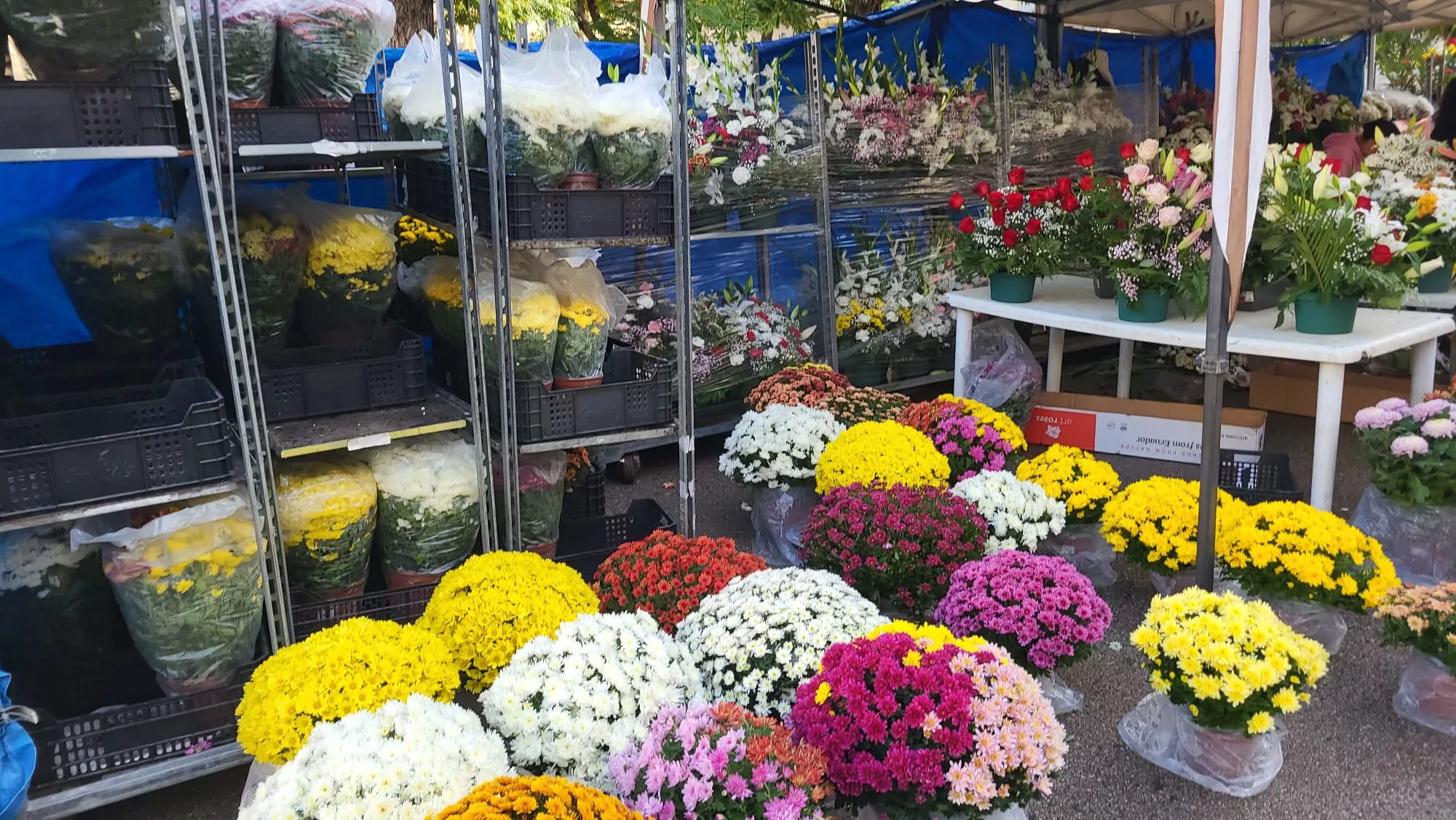 Puestos de flores por Todos los Santos en la Plaza de Navarra