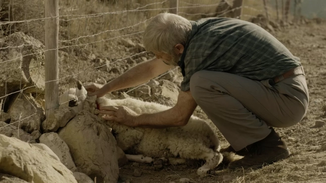 El color de la sed. El color de la sed.