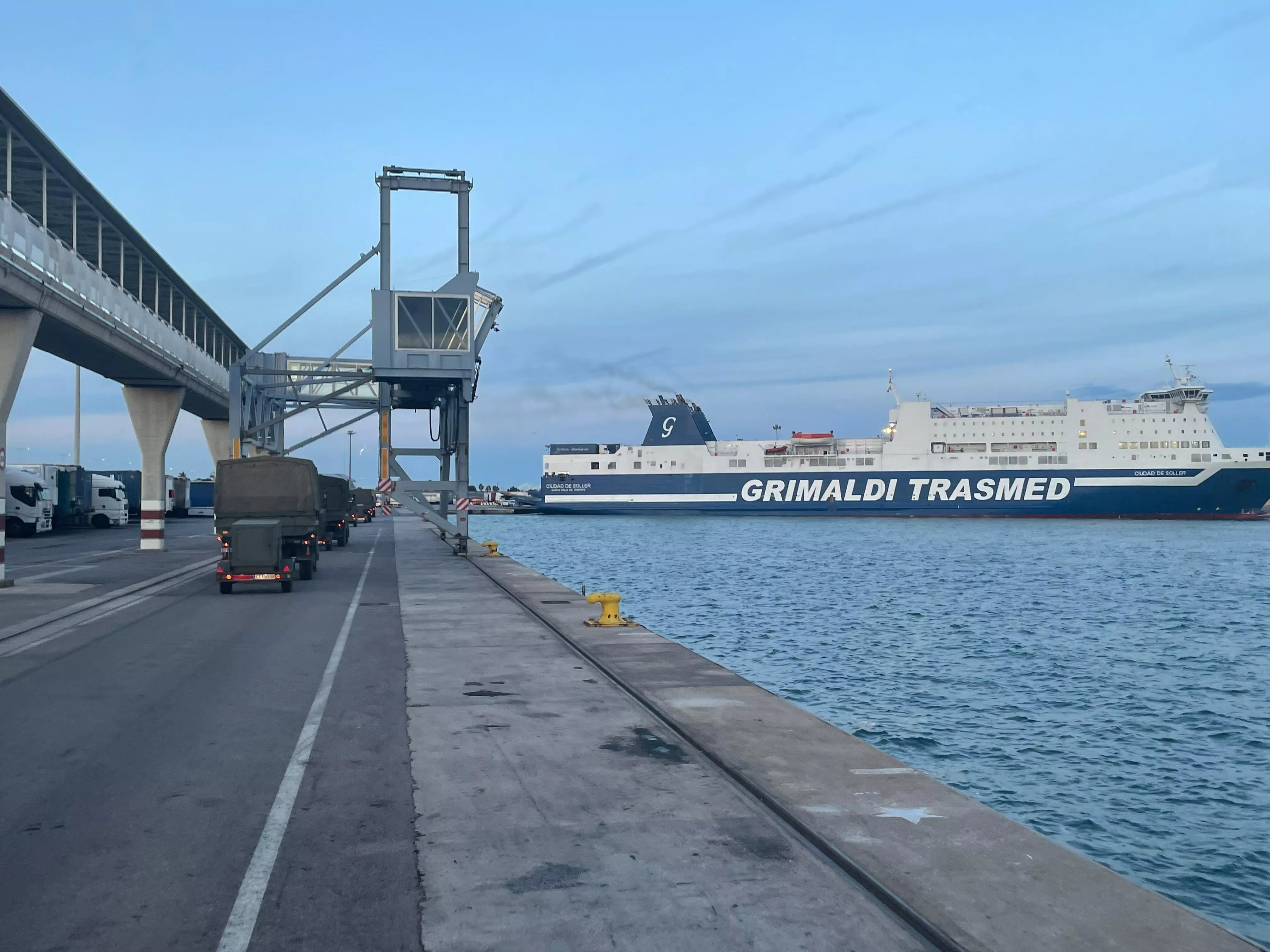 Ejercicio Toro de la División Castillejos