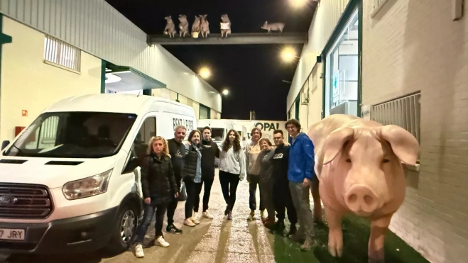 WhatsApp Image 2024 11 02 at 07.04.45 (1) WhatsApp Image 2024 11 02 at 07.04.45 (1)