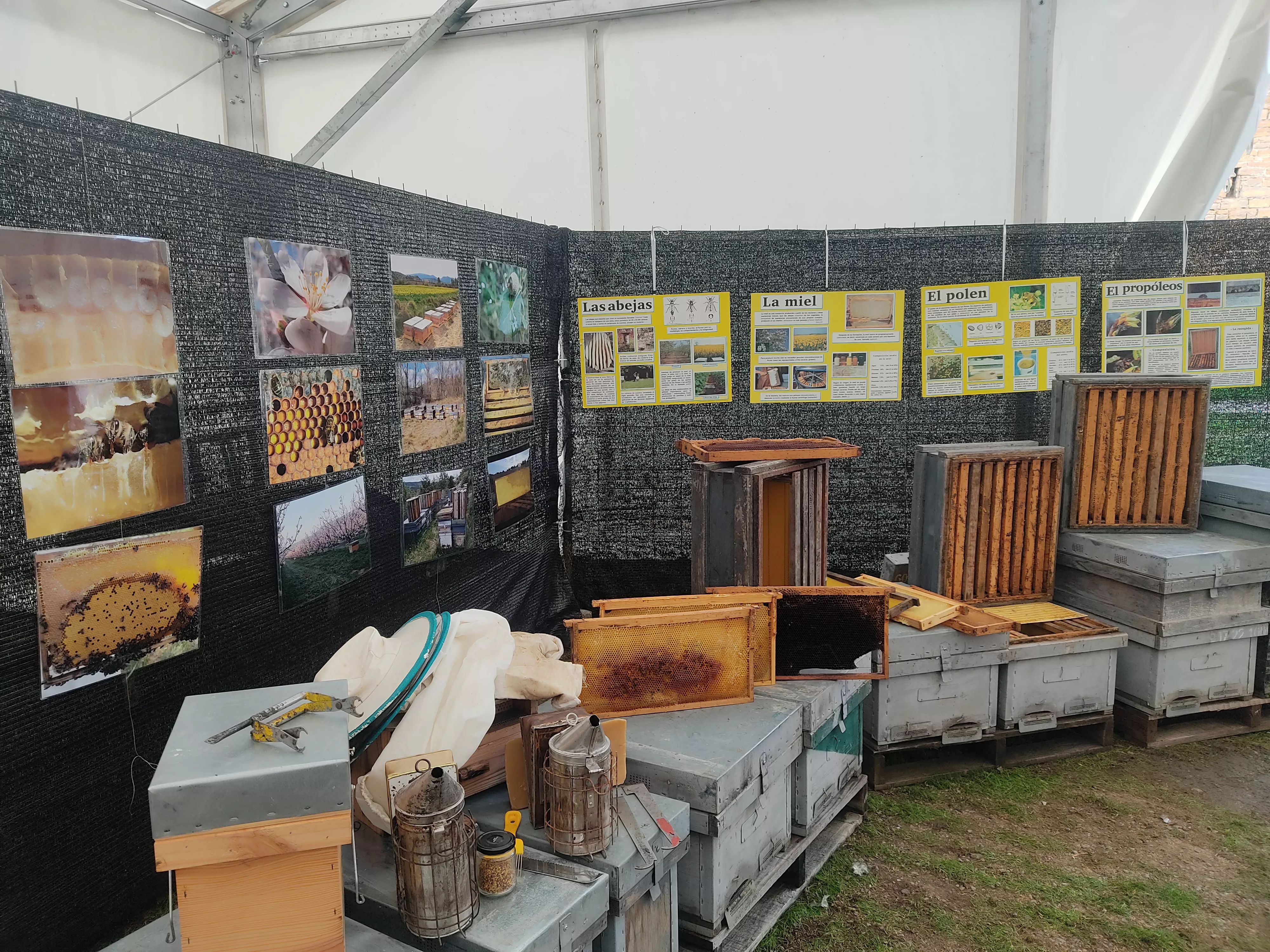 Animación en Follarasca