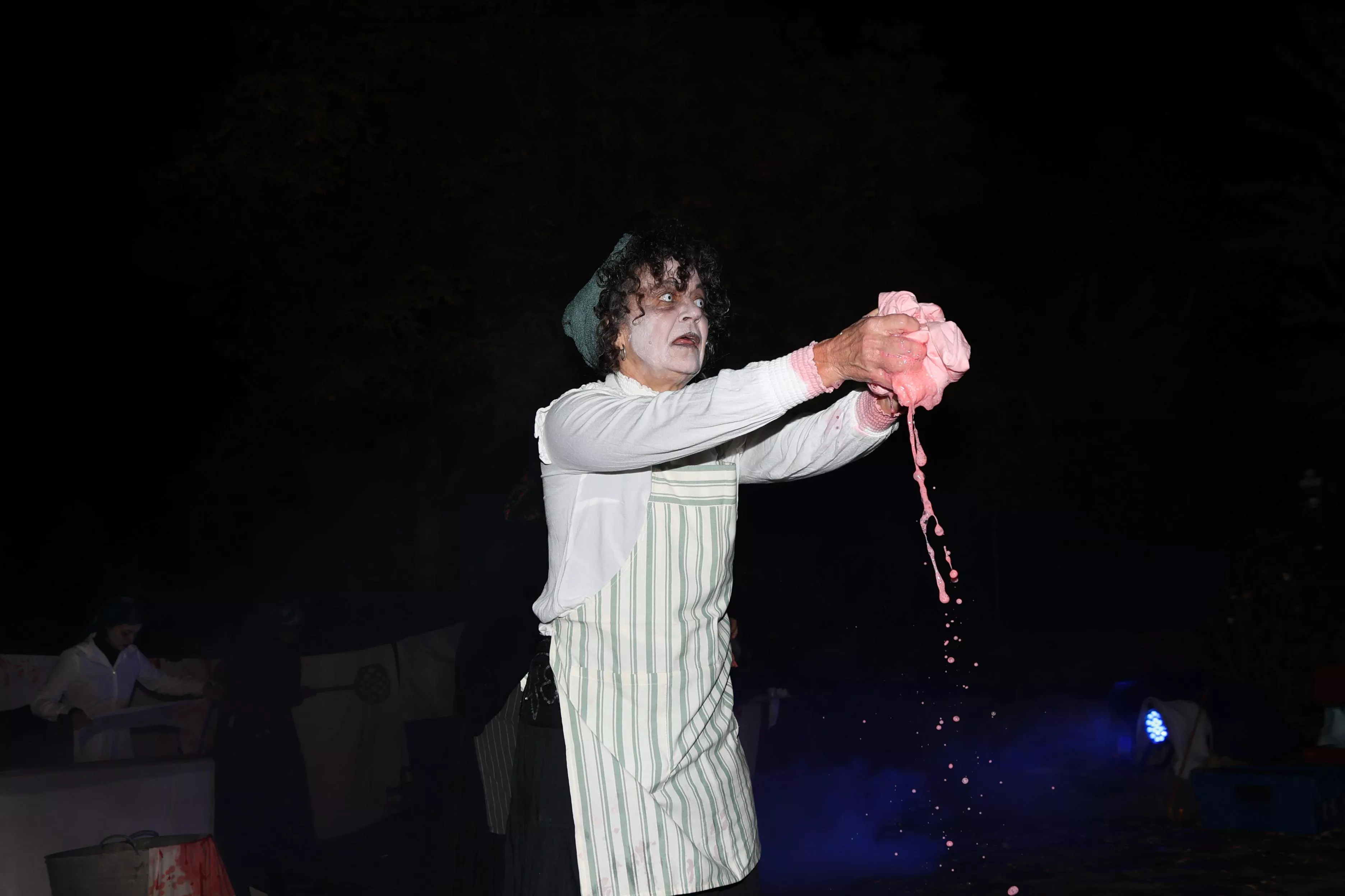 VI Marcha Senderista Teatralizada O Camín d'as Almetas