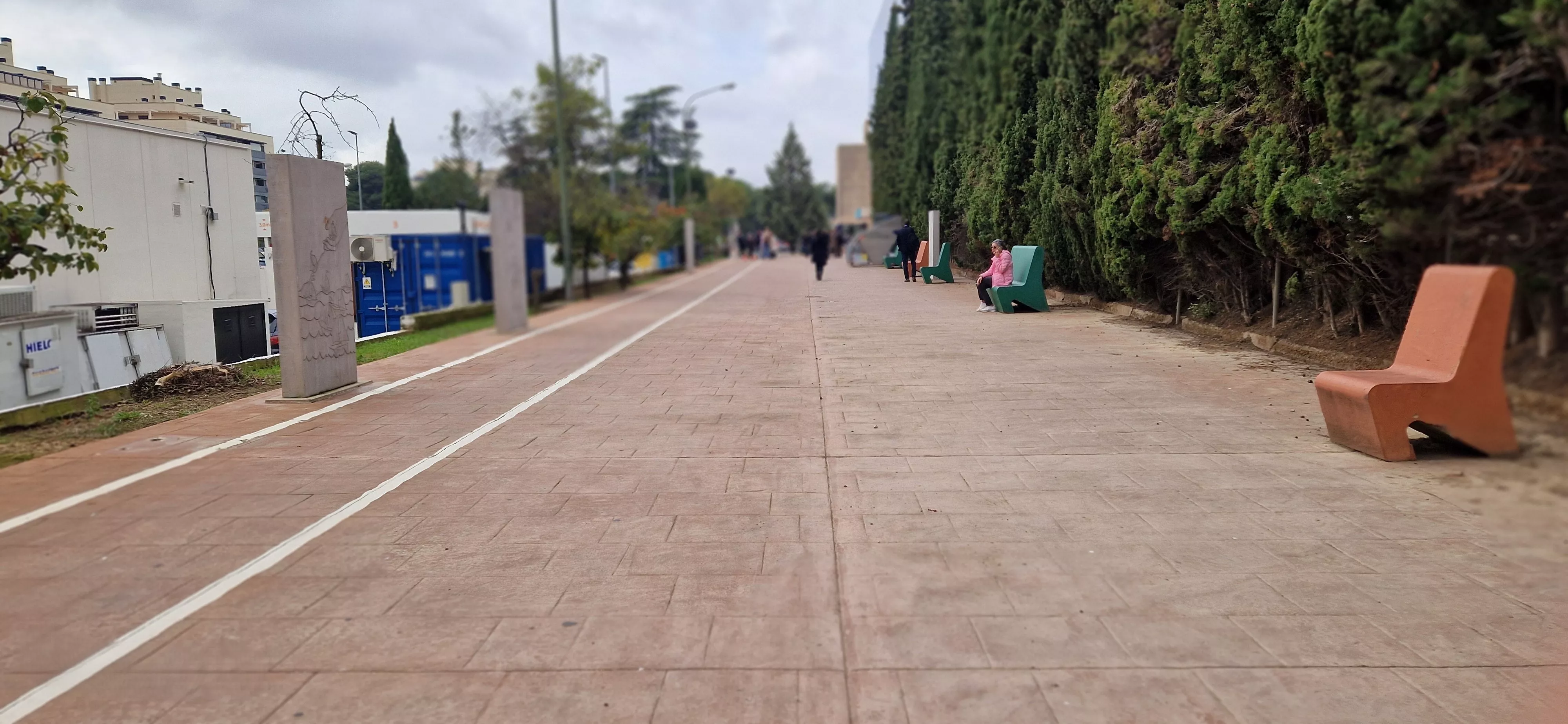  Día Internacional de las Personas Cuidadoras en Huesca. Foto Myriam Martínez 