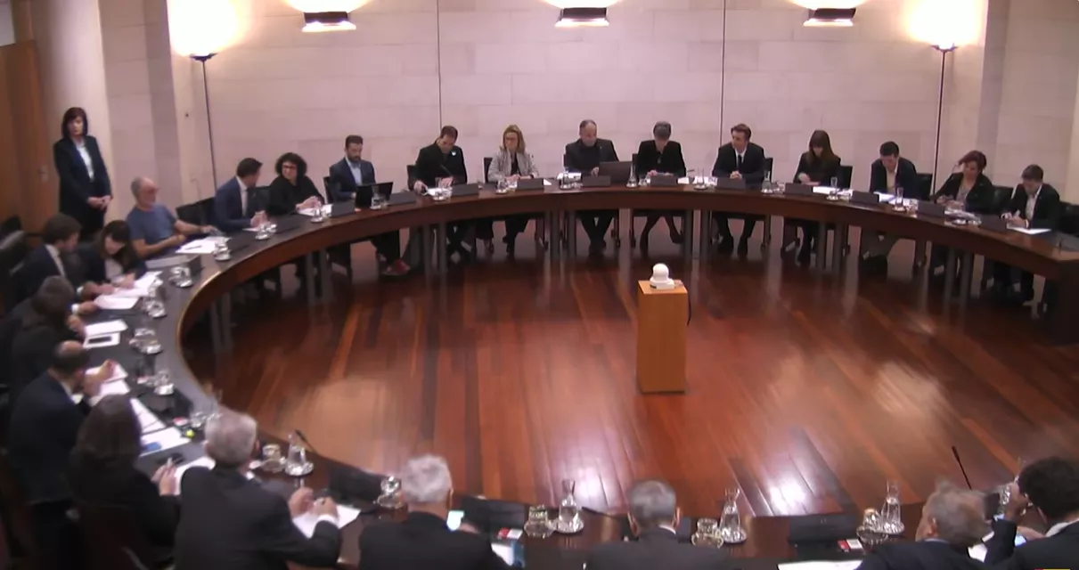 Pleno de la DPH.