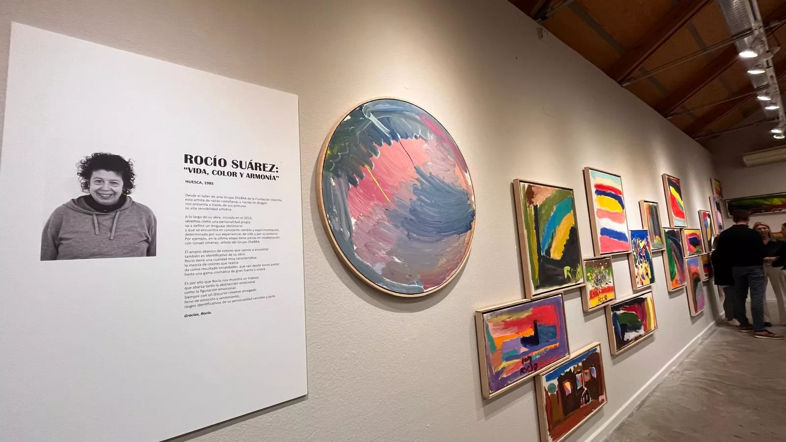 Inauguración de la exposición de Rocío Suárez en el Centro Cultural Manuel Benito Moliner. Foto Mercedes Manterola
