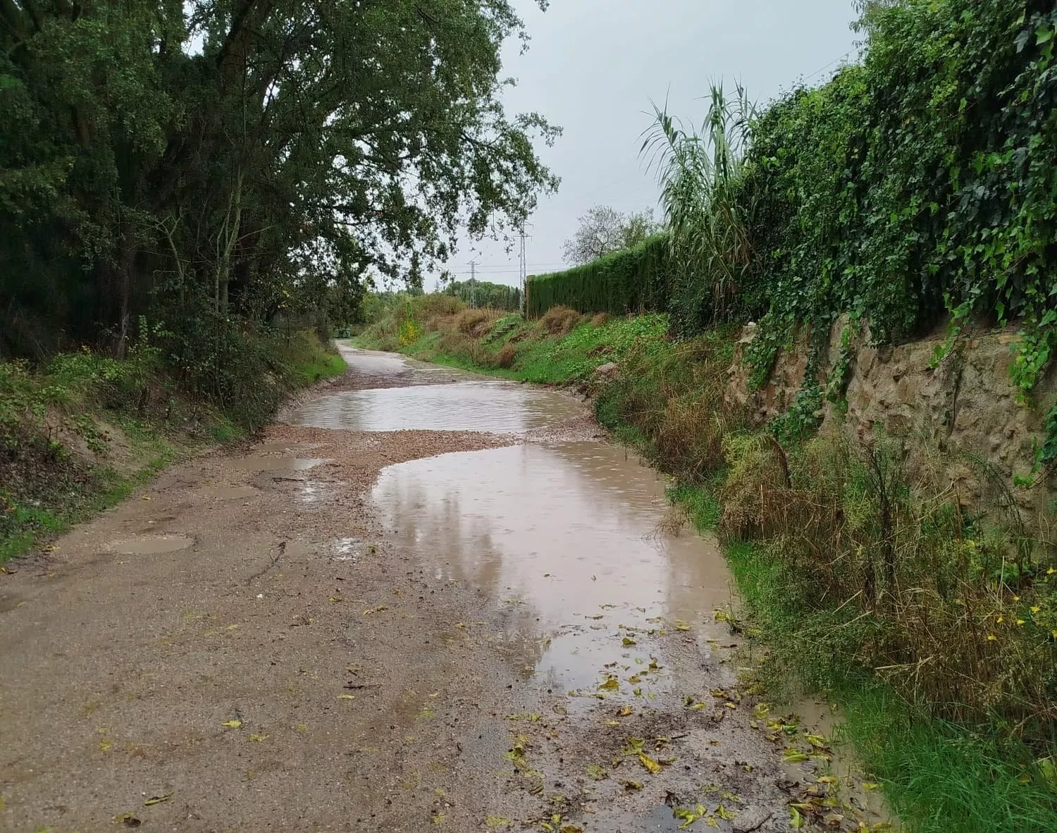 Camino del CDAN, donde se forma un gran charco cada vez que llueve que impide el paso.