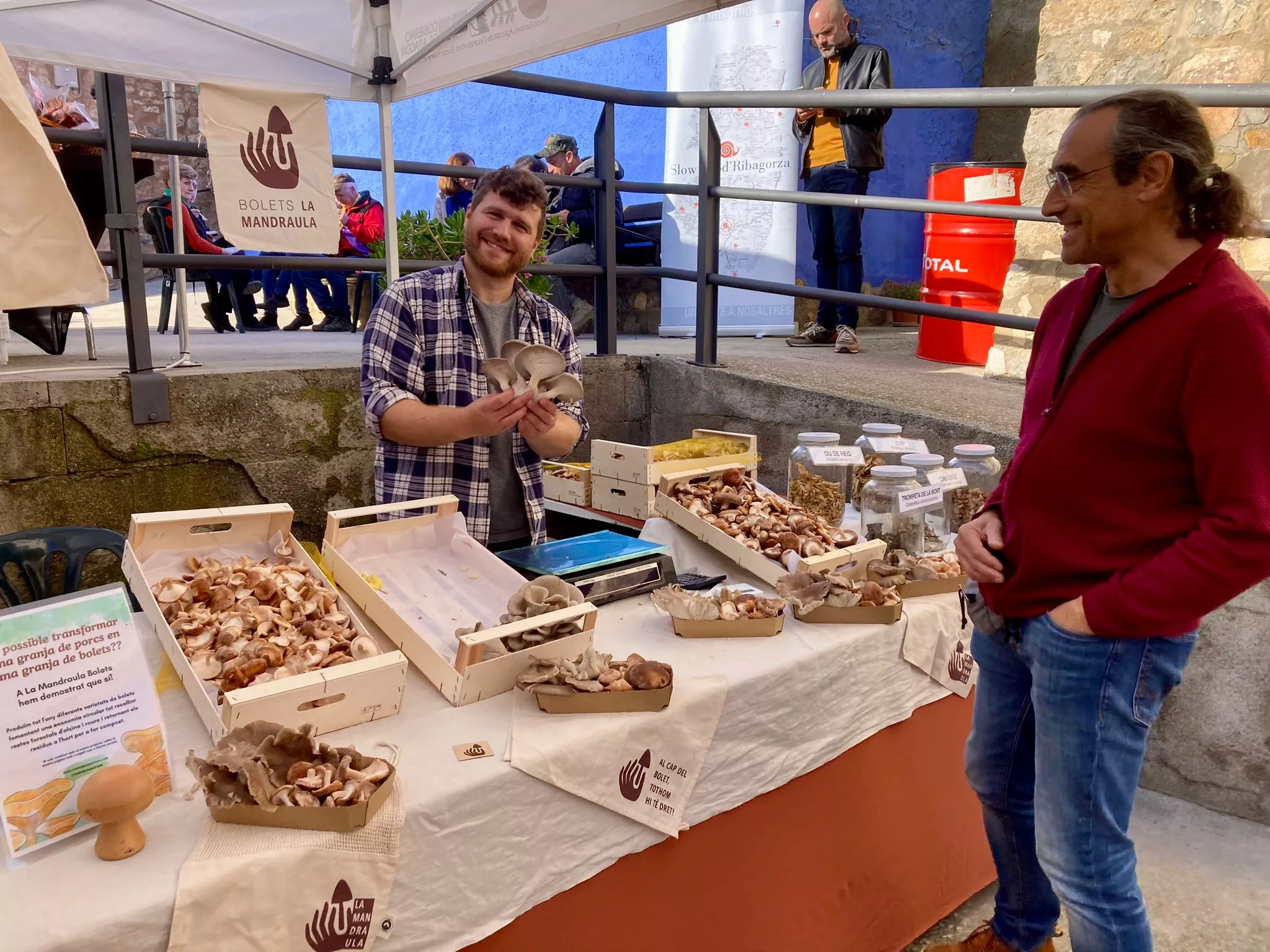 VI Jornadas de los Amigos del Azafrán de Estaña