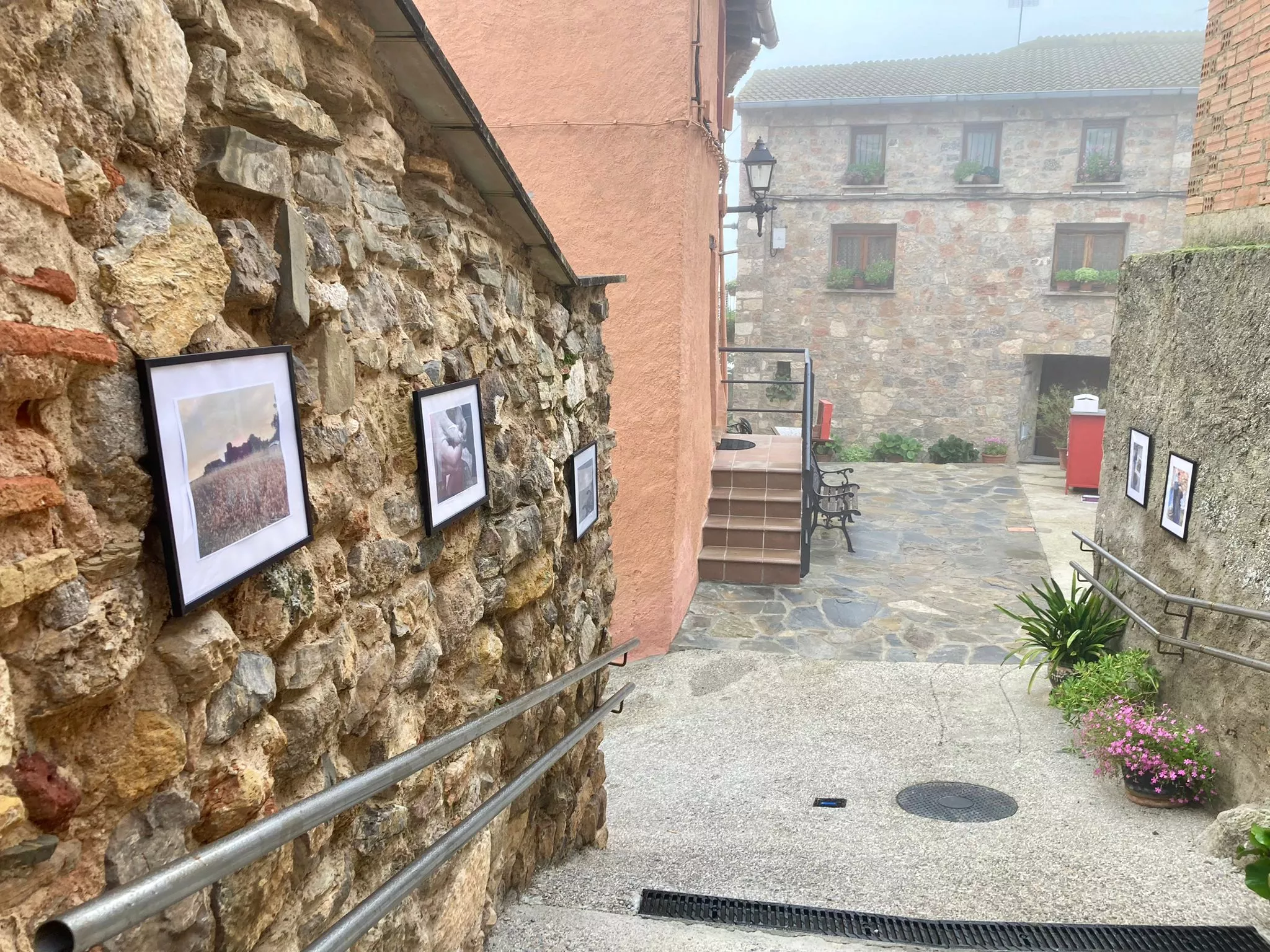 VI Jornadas de los Amigos del Azafrán de Estaña