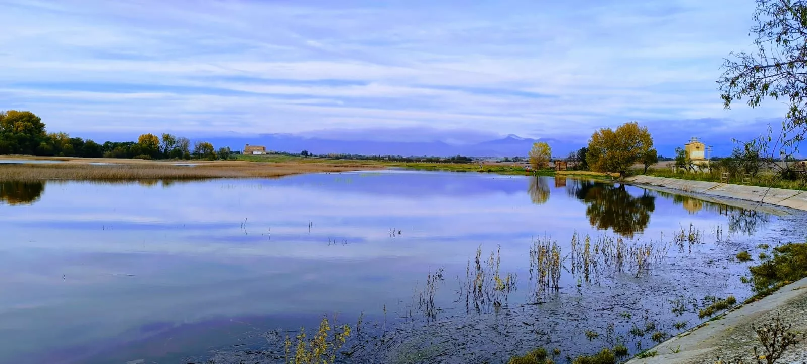 La alberca de Loreto recupera su plenitud. Foto: Joaquín Santafé
