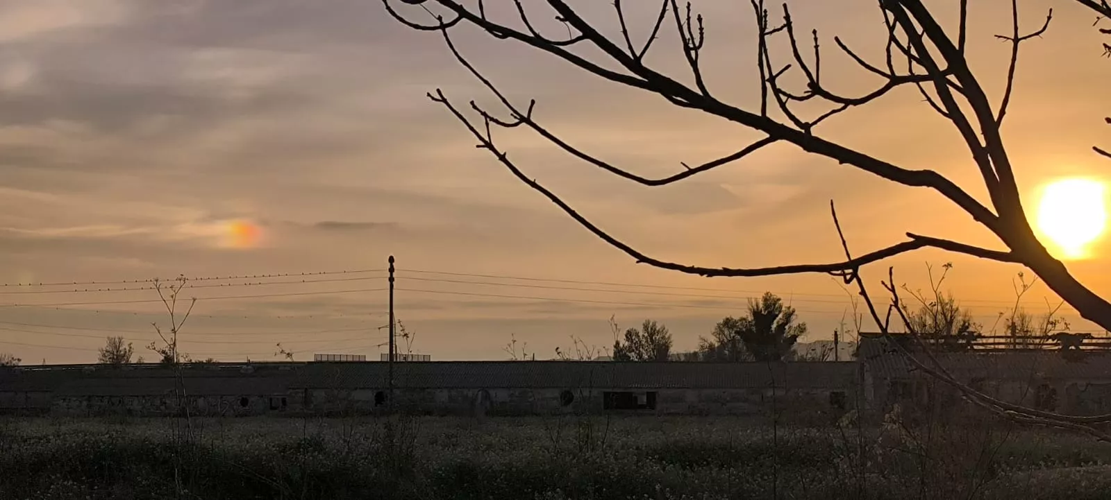 La alberca de Loreto recupera su plenitud. Foto: Joaquín Santafé