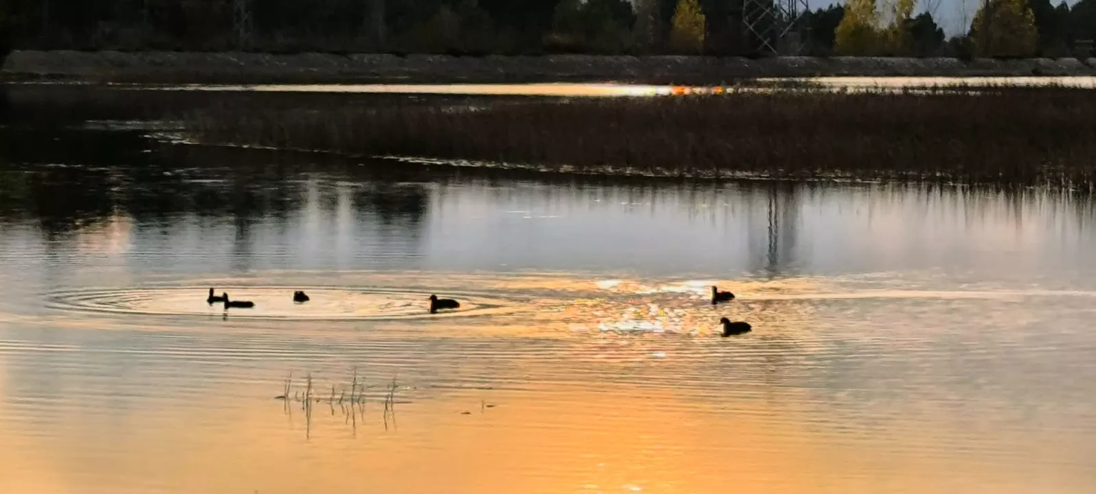 La alberca de Loreto recupera su plenitud. Foto: Joaquín Santafé