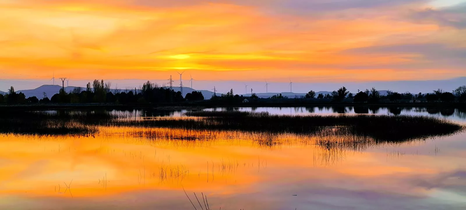 La alberca de Loreto recupera su plenitud. Foto: Joaquín Santafé