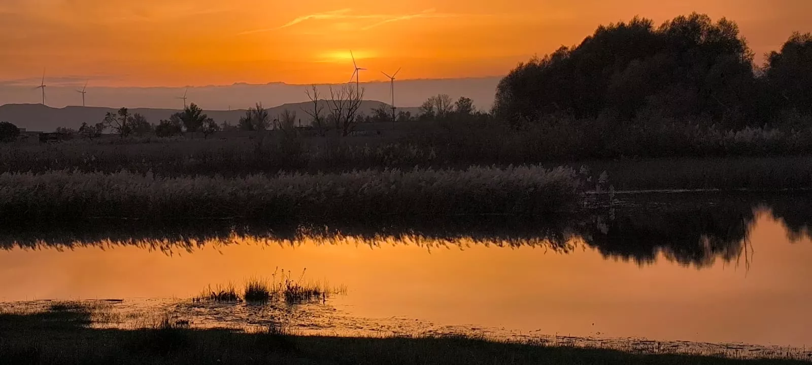 La alberca de Loreto recupera su plenitud. Foto: Joaquín Santafé