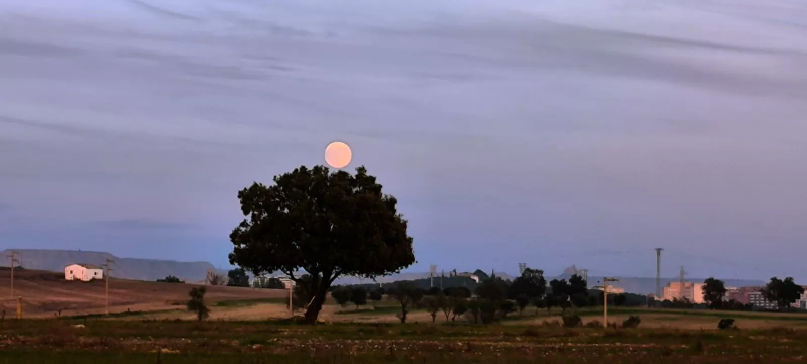 La alberca de Loreto recupera su plenitud. Foto: Joaquín Santafé