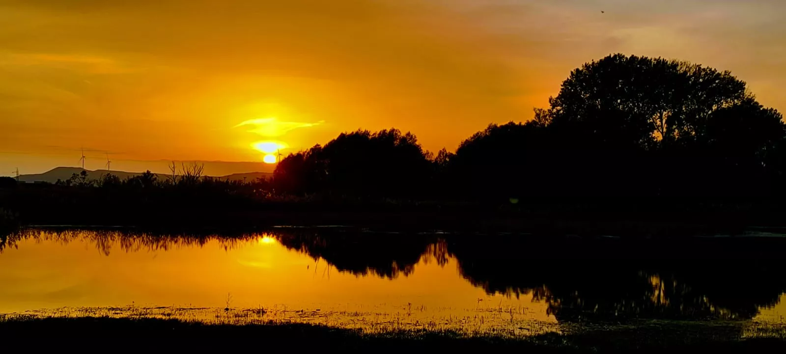 La alberca de Loreto recupera su plenitud. Foto: Joaquín Santafé