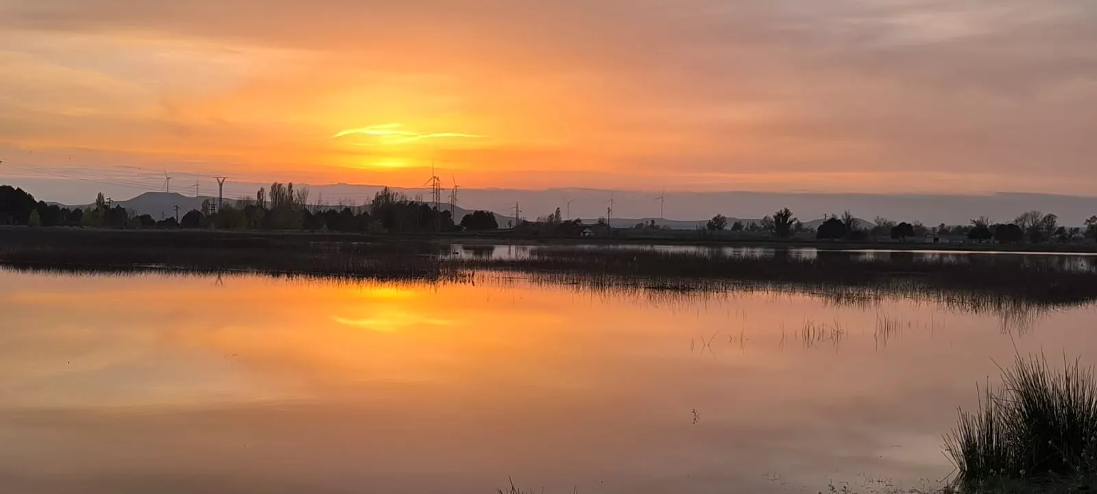 La alberca de Loreto recupera su plenitud. Foto: Joaquín Santafé