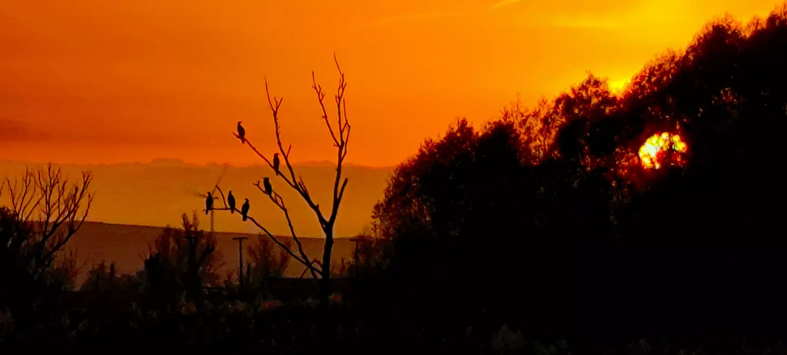La alberca de Loreto recupera su plenitud. Foto: Joaquín Santafé