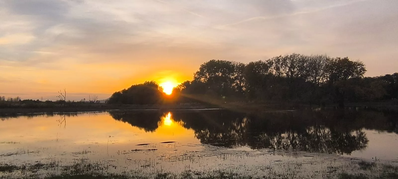 La alberca de Loreto recupera su plenitud. Foto: Joaquín Santafé