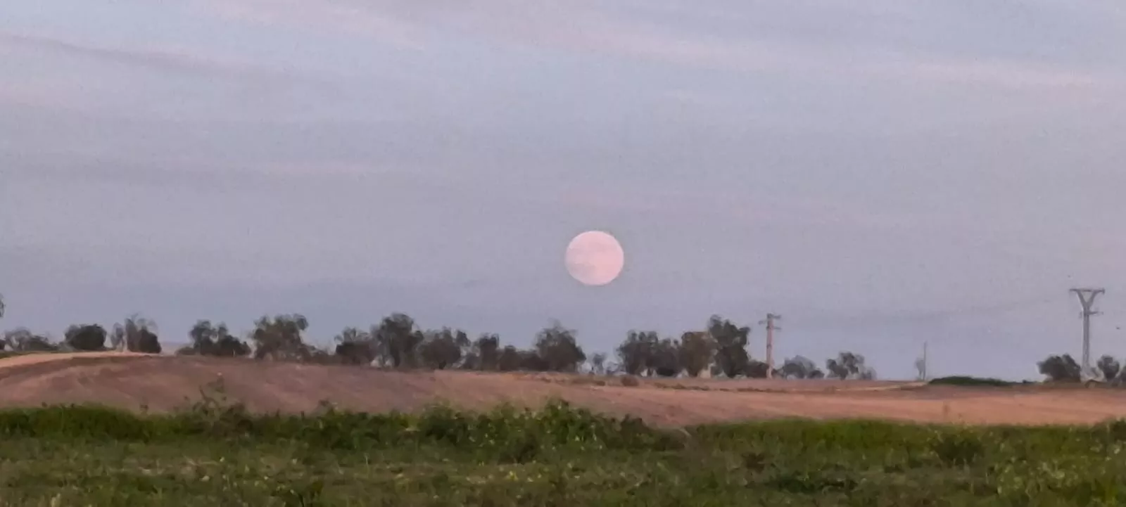 La alberca de Loreto recupera su plenitud. Foto: Joaquín Santafé