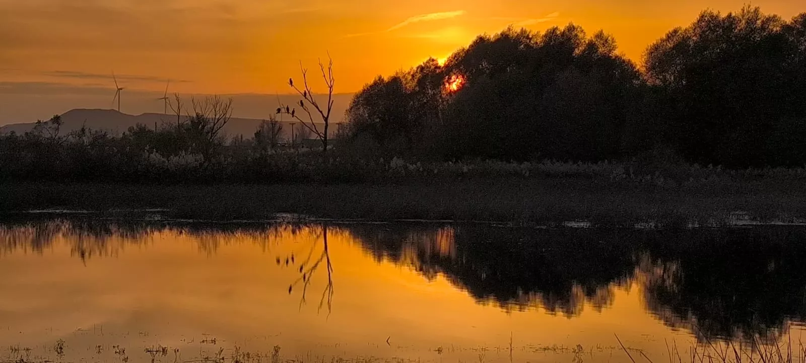 La alberca de Loreto recupera su plenitud. Foto: Joaquín Santafé