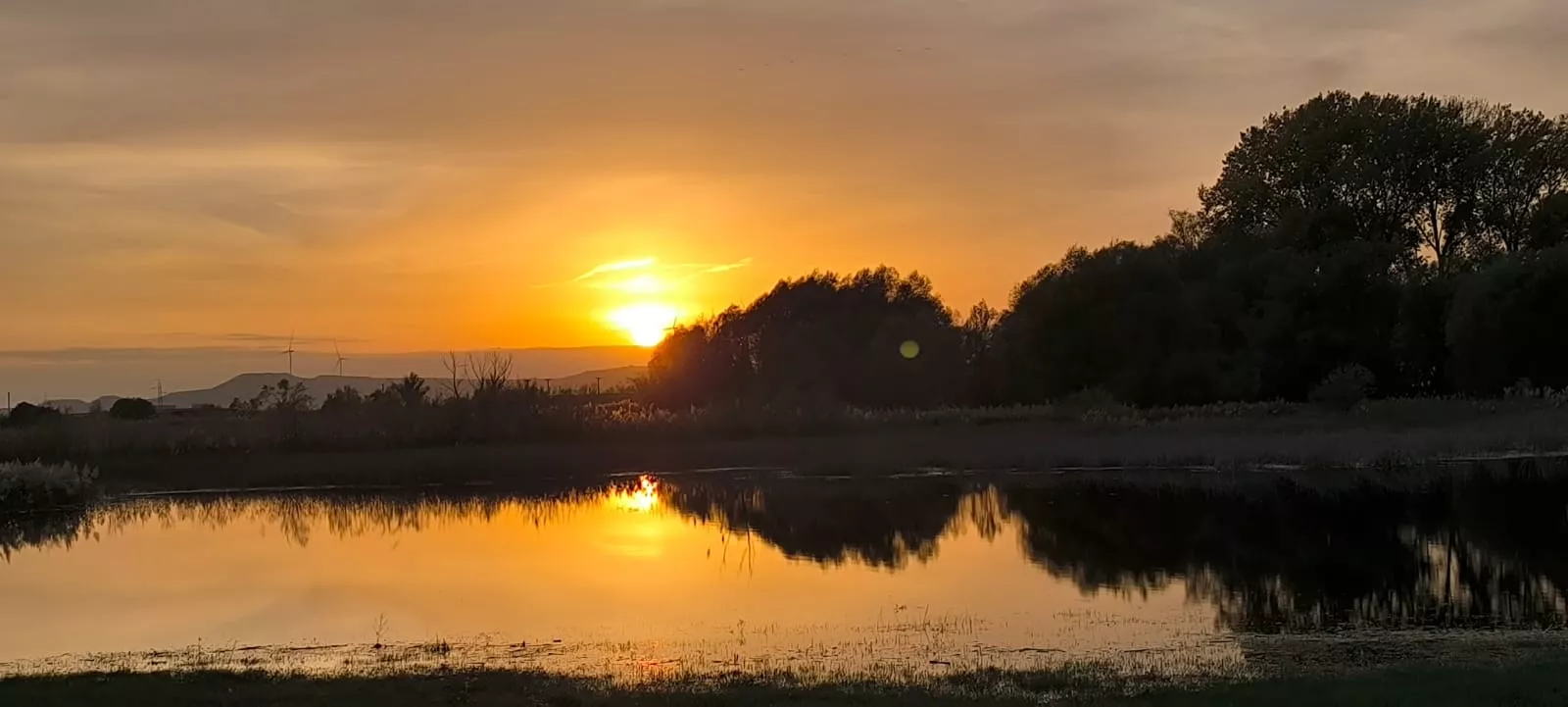 La alberca de Loreto recupera su plenitud. Foto: Joaquín Santafé