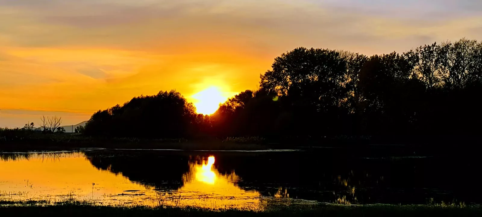 La alberca de Loreto recupera su plenitud. Foto: Joaquín Santafé