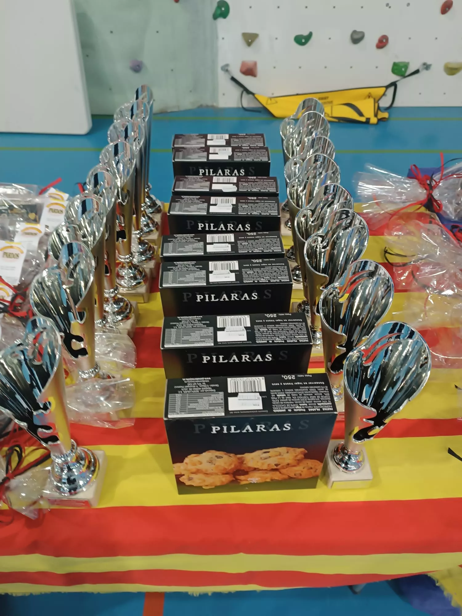 Open Binéfar de Badminton