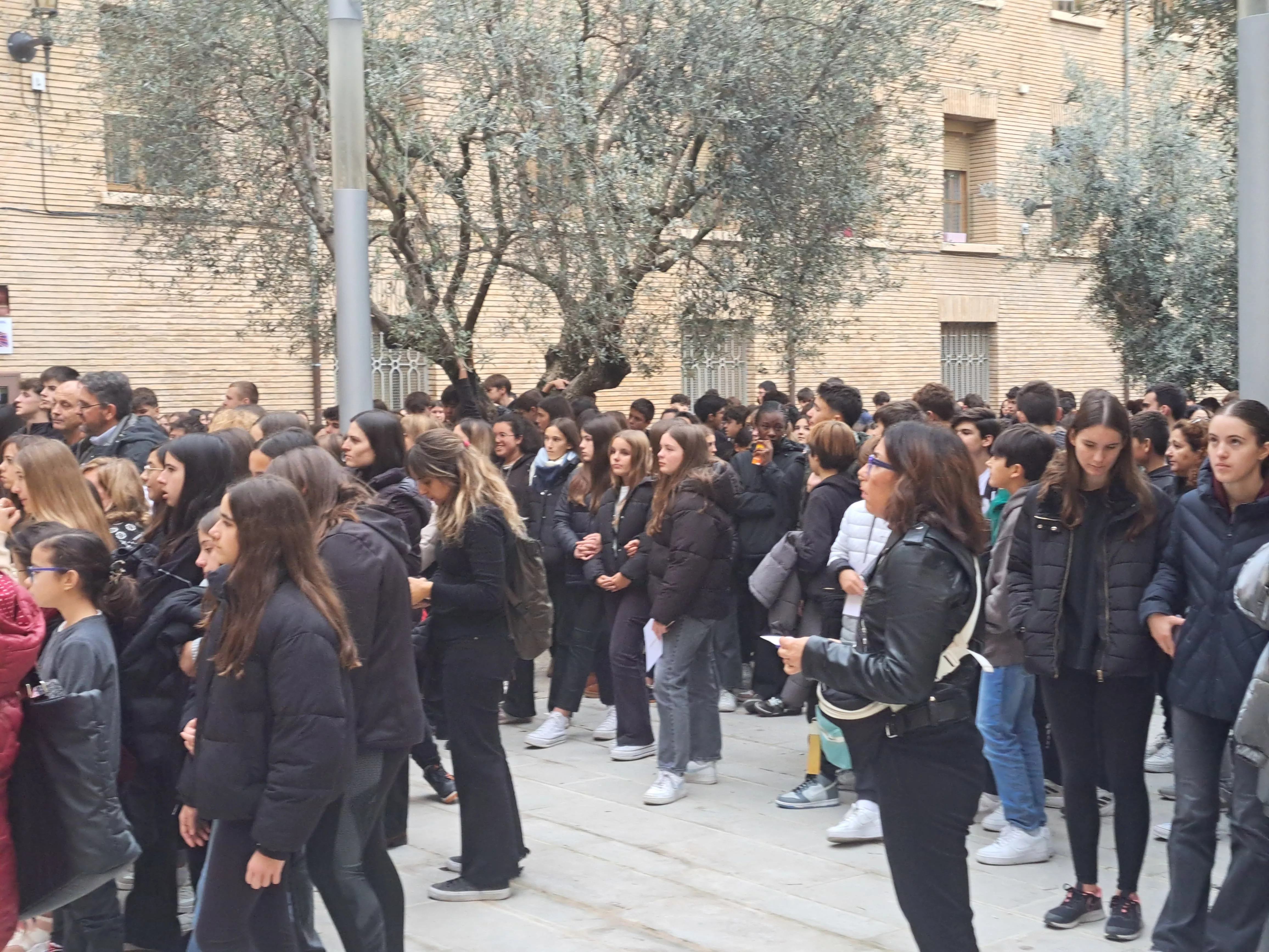 Alumnos de Barbastro que han participado en la marea negra para reivindicar la eliminación de la violencia contra las mujeres.
