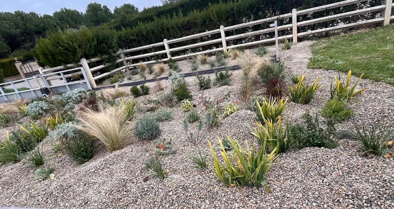 Presentación del jardín seco del CDAN. Foto Mercedes Manterola