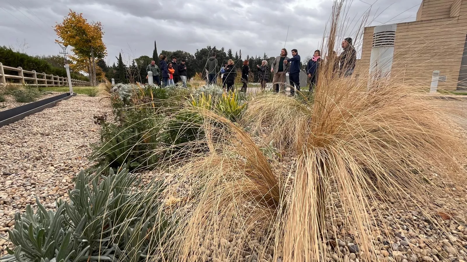 Presentación del jardín seco del CDAN. Foto Mercedes Manterola