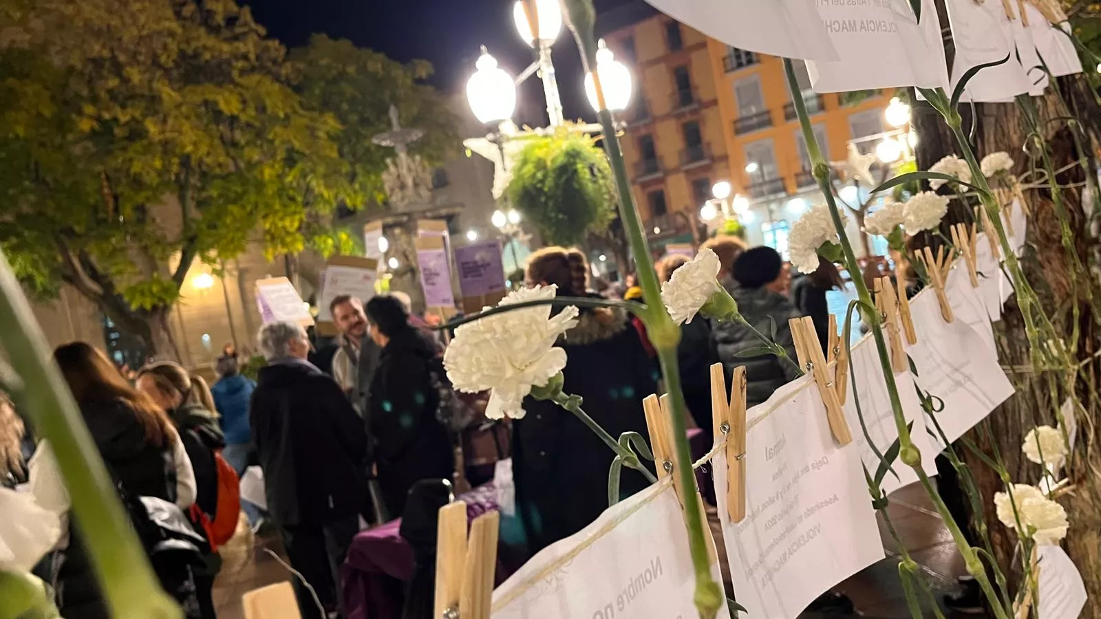Concentración en Huesca en el Día Internacional para la Eliminación de la Violencia contra las Mujeres. Foto Mercedes Manterola