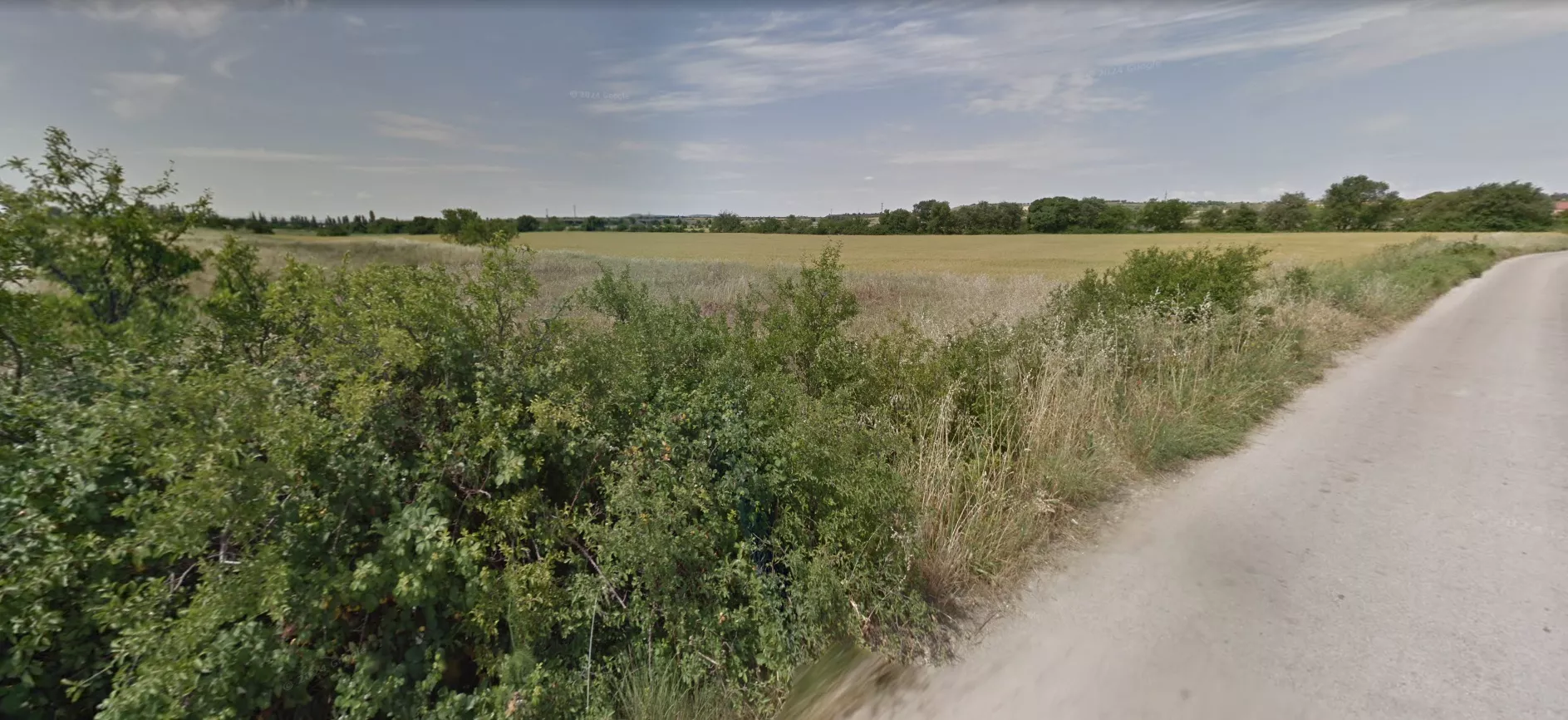 La mujer fue hallada en un campo cercano al centro comercial Coso Real.