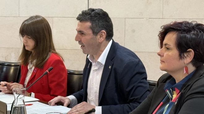 Fernando Sánchez durante su intervención en el pleno de la DPH. Fernando Sánchez durante su intervención en el pleno de la DPH.