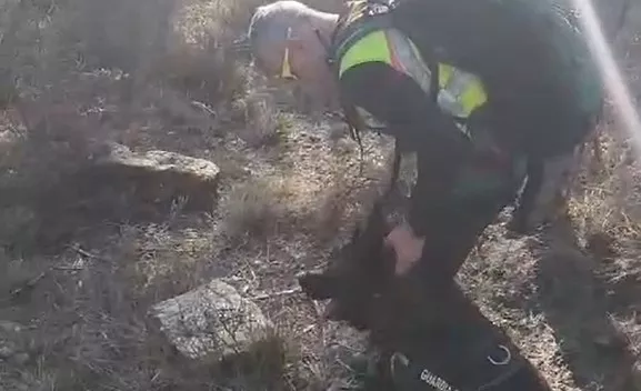 Un guardia civil con un perro en la búsqueda del vecino