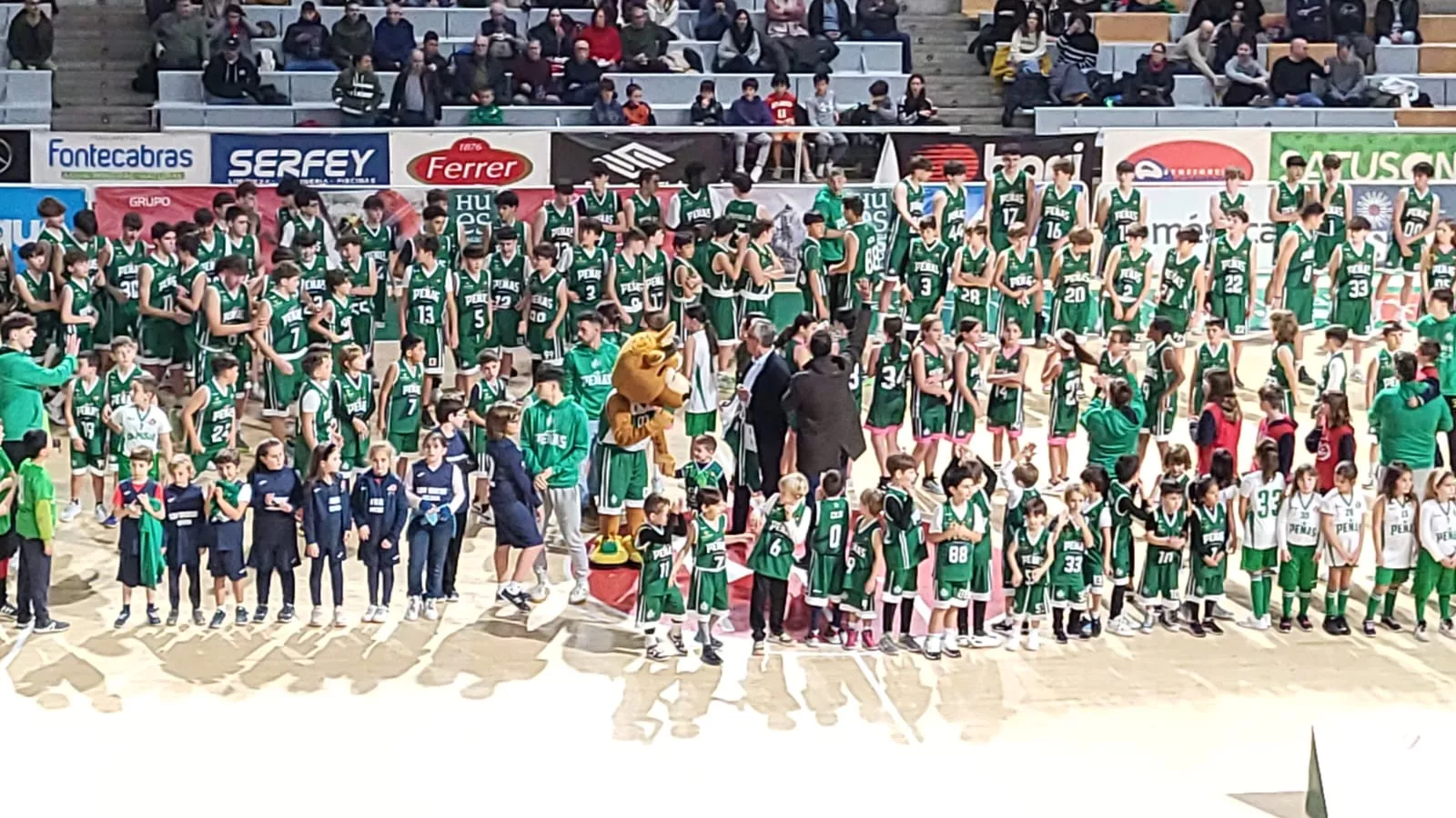 Homenaje a la cantera del Baloncesto Peñas