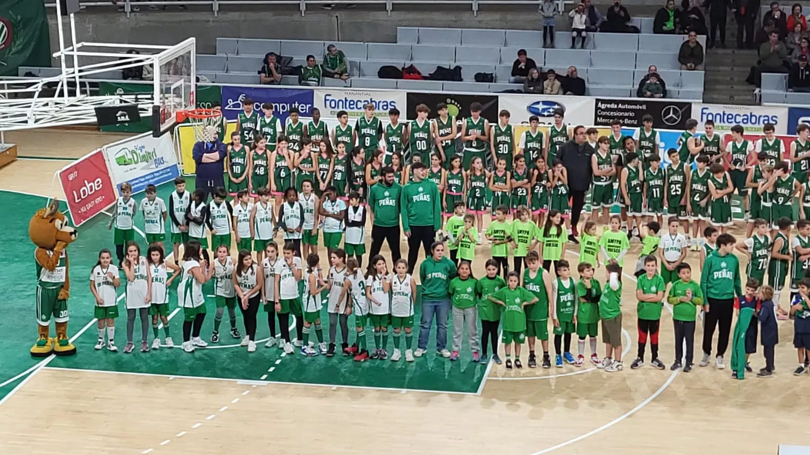 Homenaje a la cantera del Baloncesto Peñas