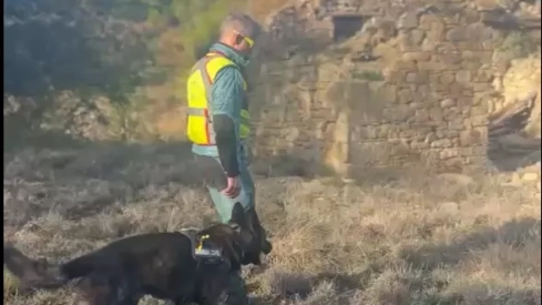 El Greim de Benasque rastrea la zona con un perro de búsqueda de personas. El Greim de Benasque rastrea la zona con un perro de búsqueda de personas.