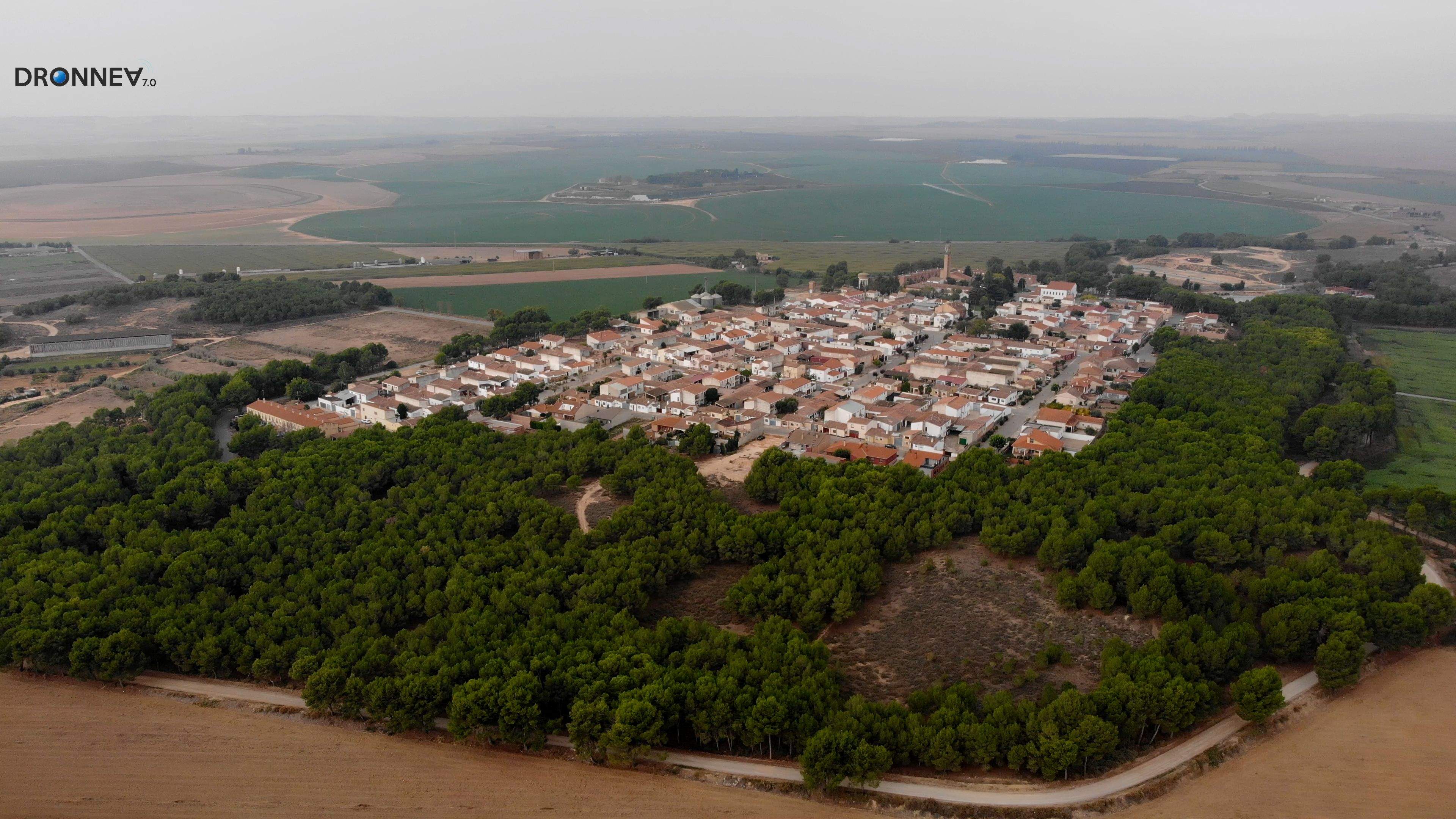 El pulmón de Vencillón. El pinar que lo circunda. Verde de esperanza, de imaginación, de juegos infantiles. Oxígeno y belleza. Identidad.