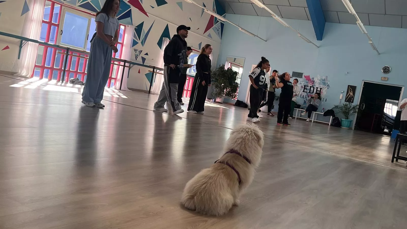 Participantes en el tercer Cupra Dance Camp en Espacio Danza de Huesca. Foto Mercedes Manterola