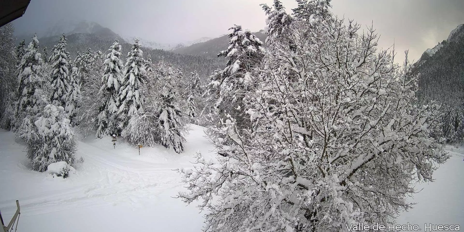 Nevada en la Selva de Oza.