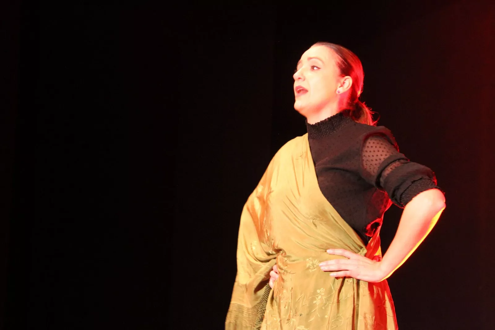 Primera Gala de artistas locales de Robres. Foto Carlos Neofato