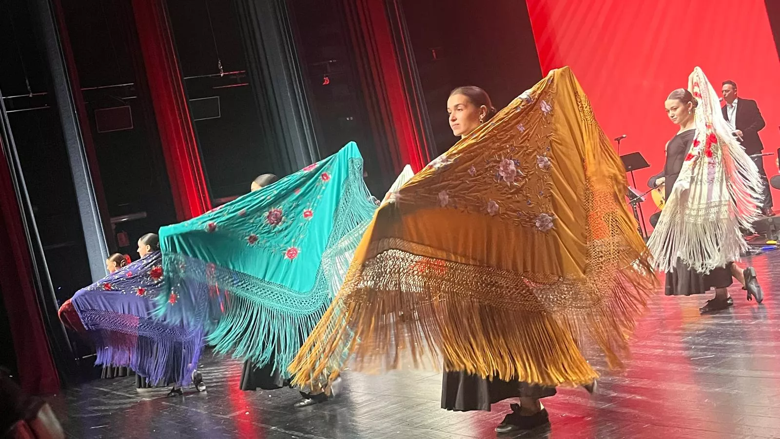 Décima gala de jota Amigos de Roberto a beneficio de Aspanoa. Foto Mercedes Manterola