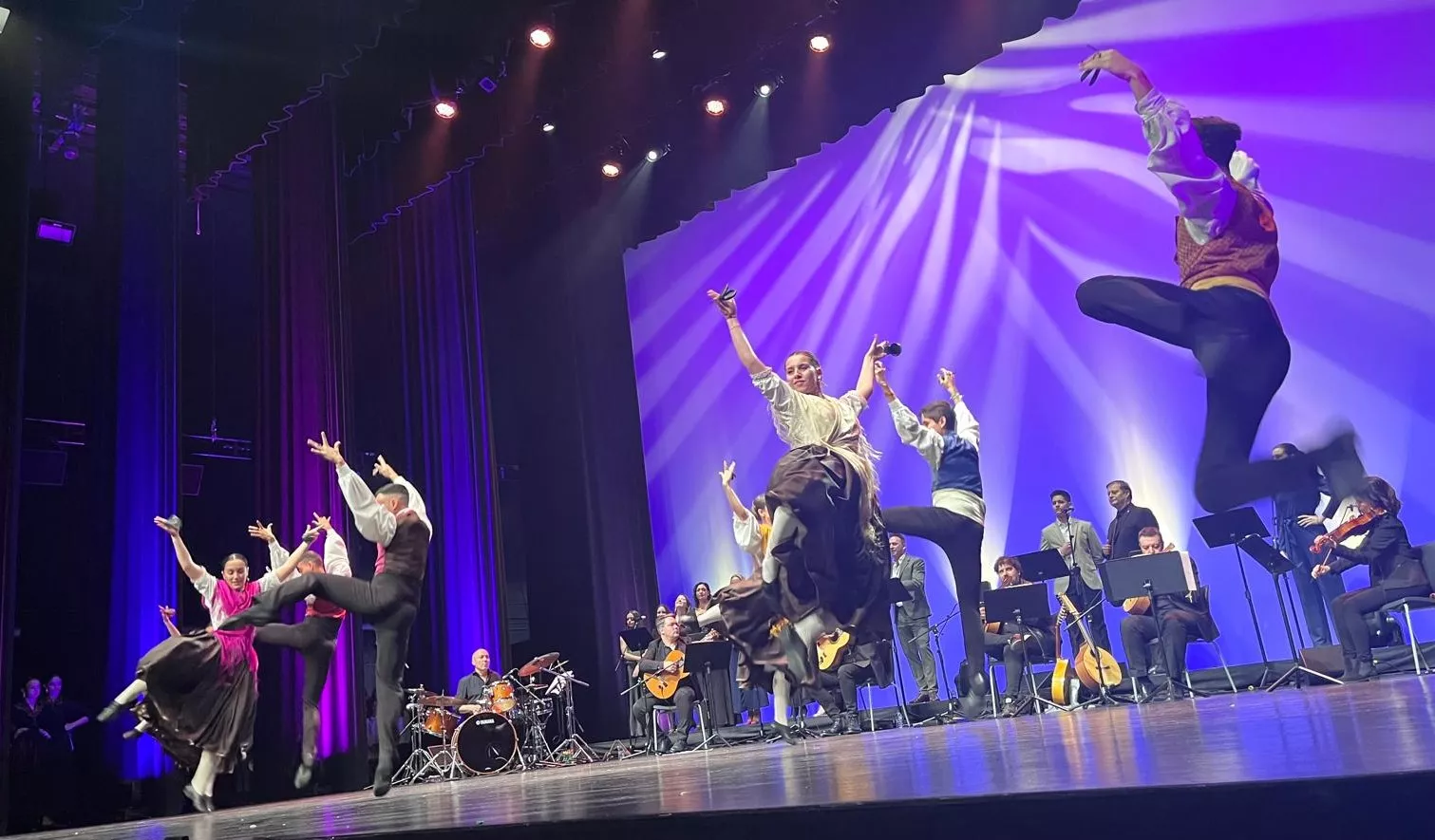 Décima gala de jota Amigos de Roberto a beneficio de Aspanoa. Foto Mercedes Manterola