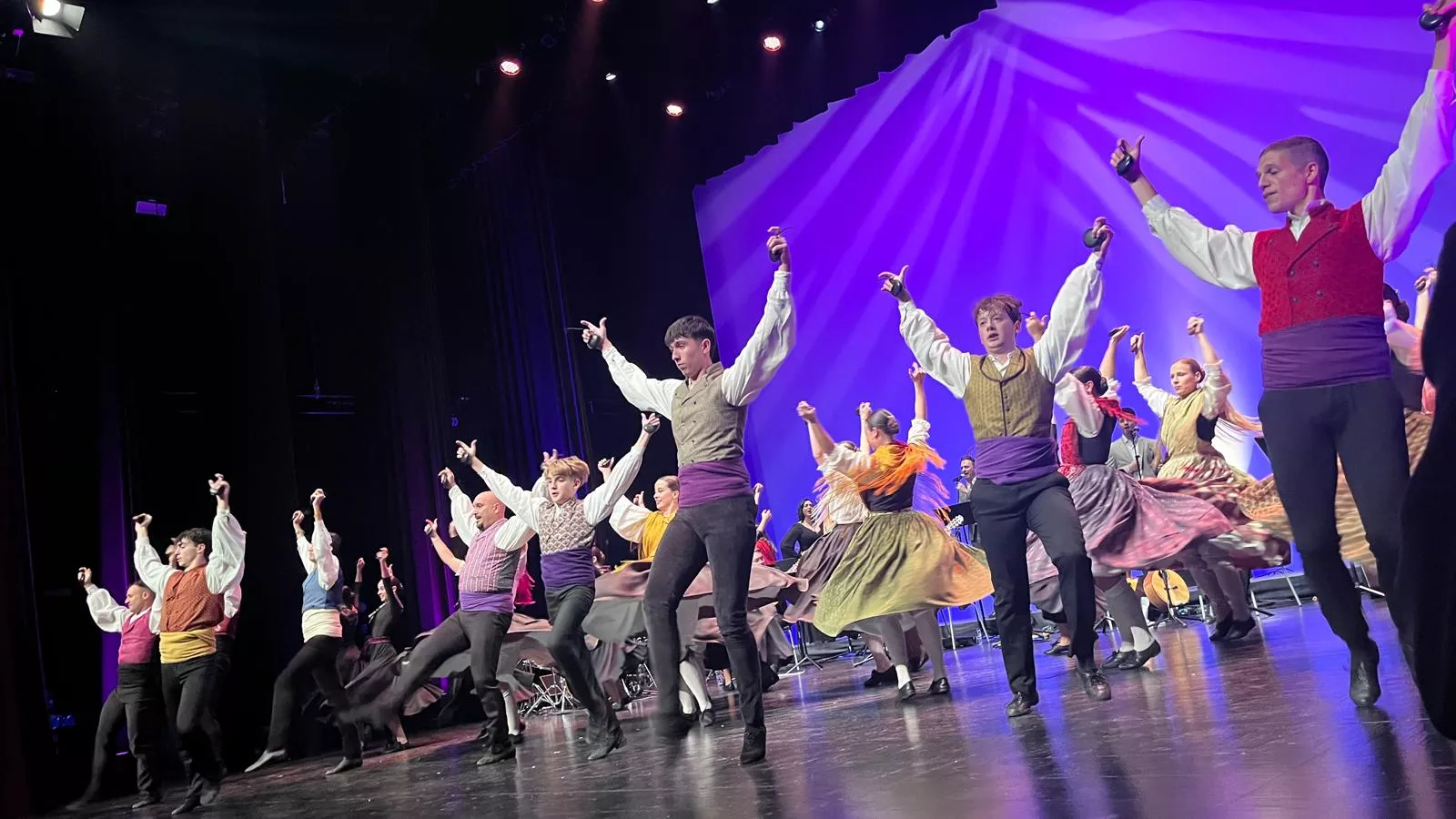 Décima gala de jota Amigos de Roberto a beneficio de Aspanoa. Foto Mercedes Manterola