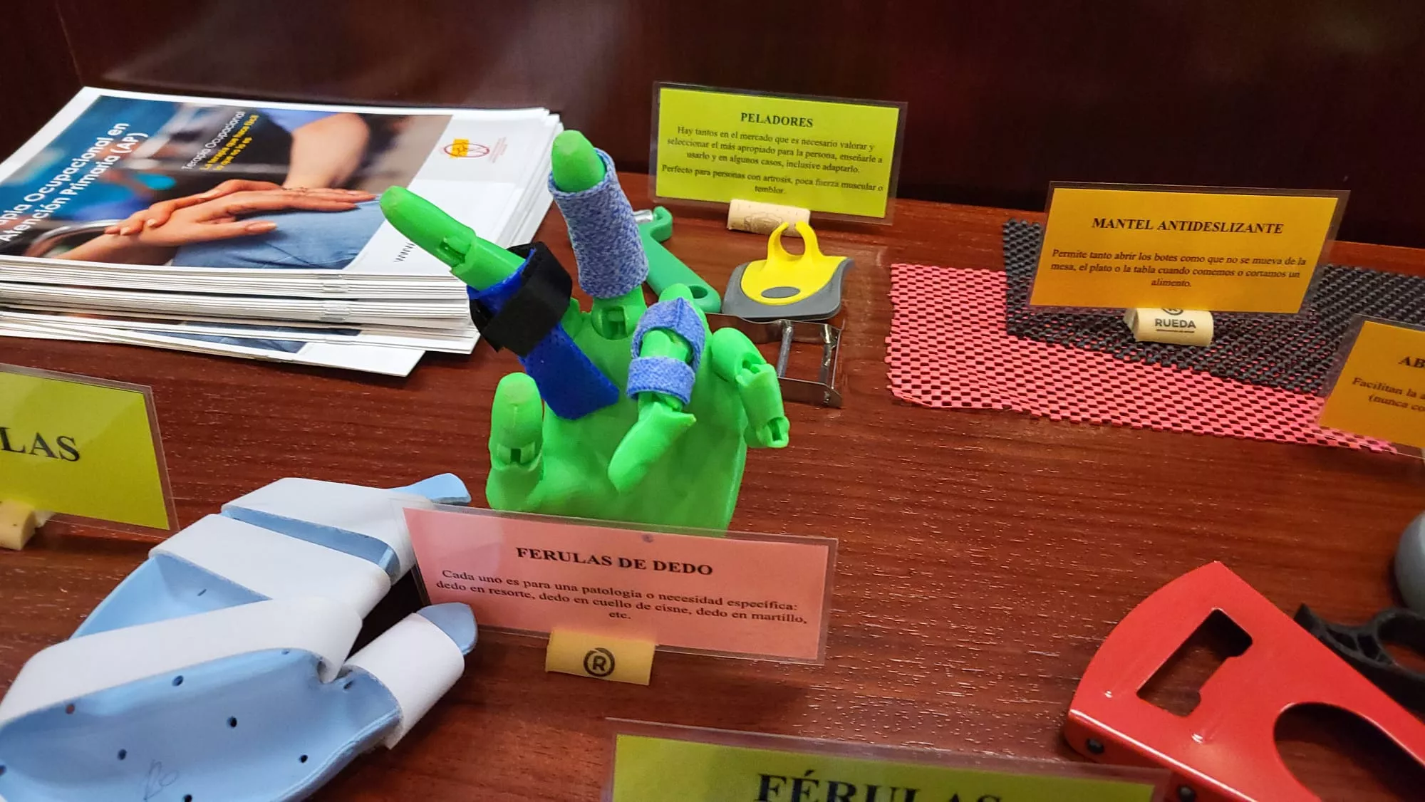 I Congreso de Terapia Ocupacional para Personas con Diversidad Funcional en Huesca