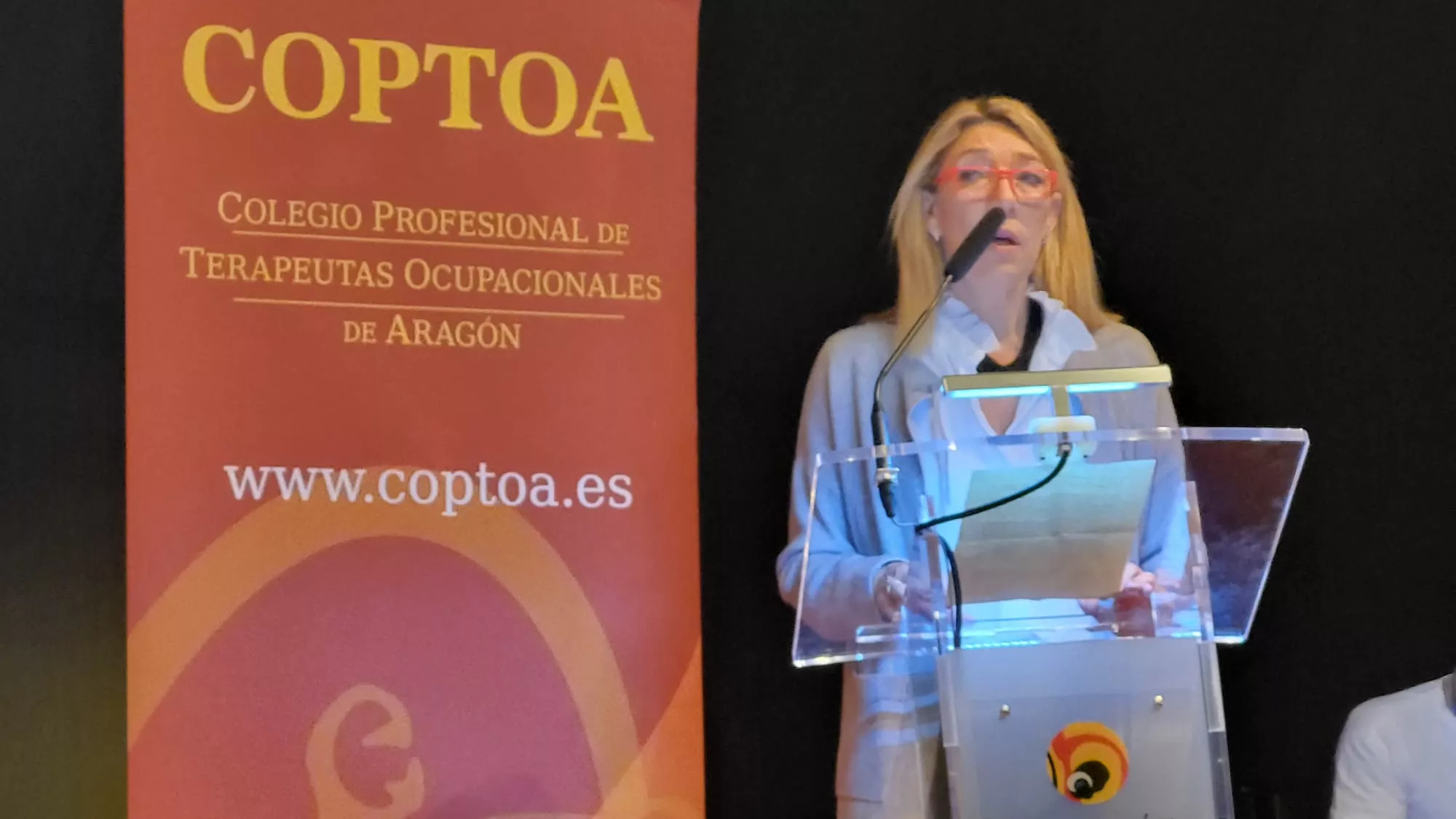 I Congreso de Terapia Ocupacional para Personas con Diversidad Funcional en Huesca