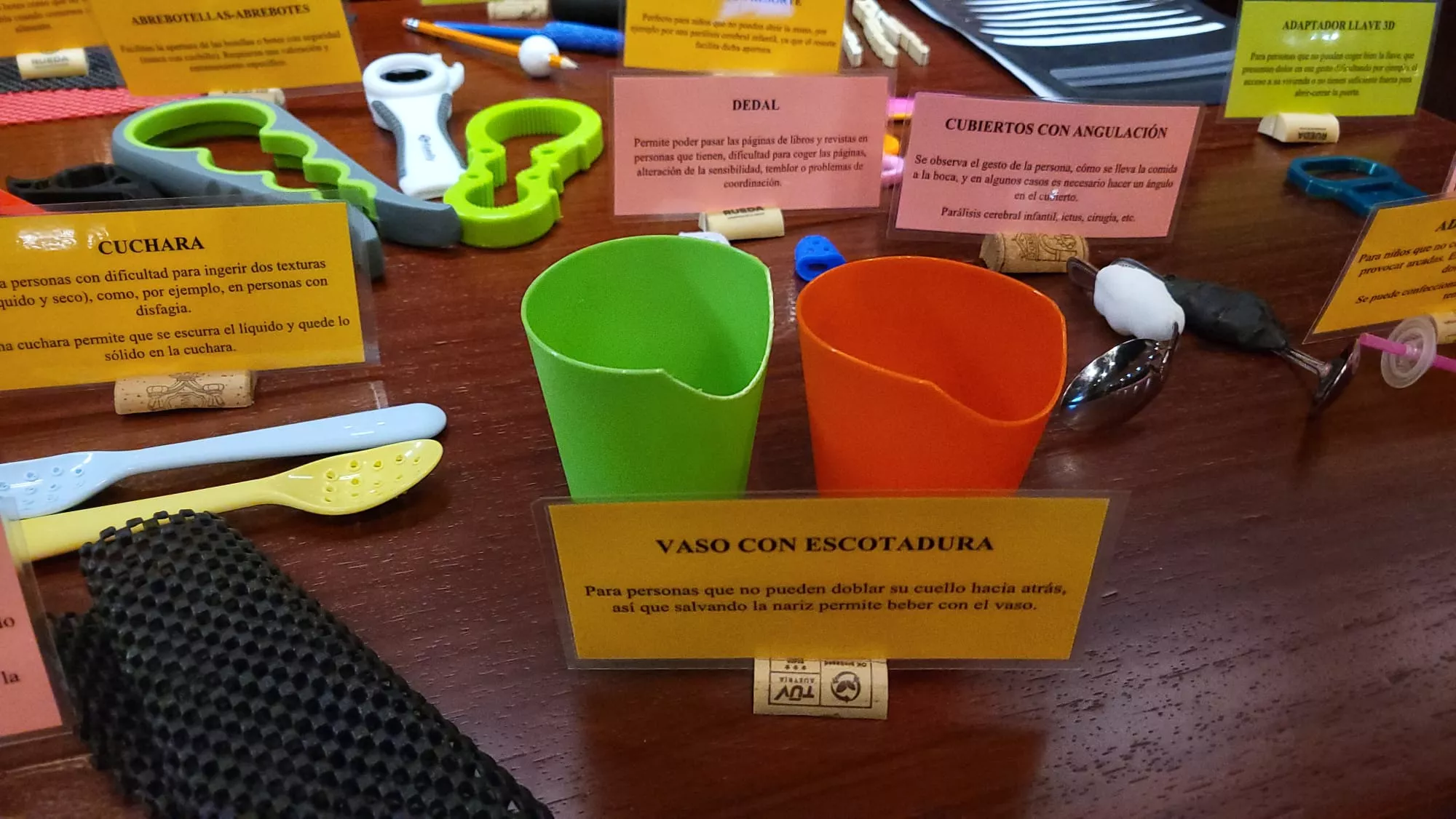 I Congreso de Terapia Ocupacional para Personas con Diversidad Funcional en Huesca