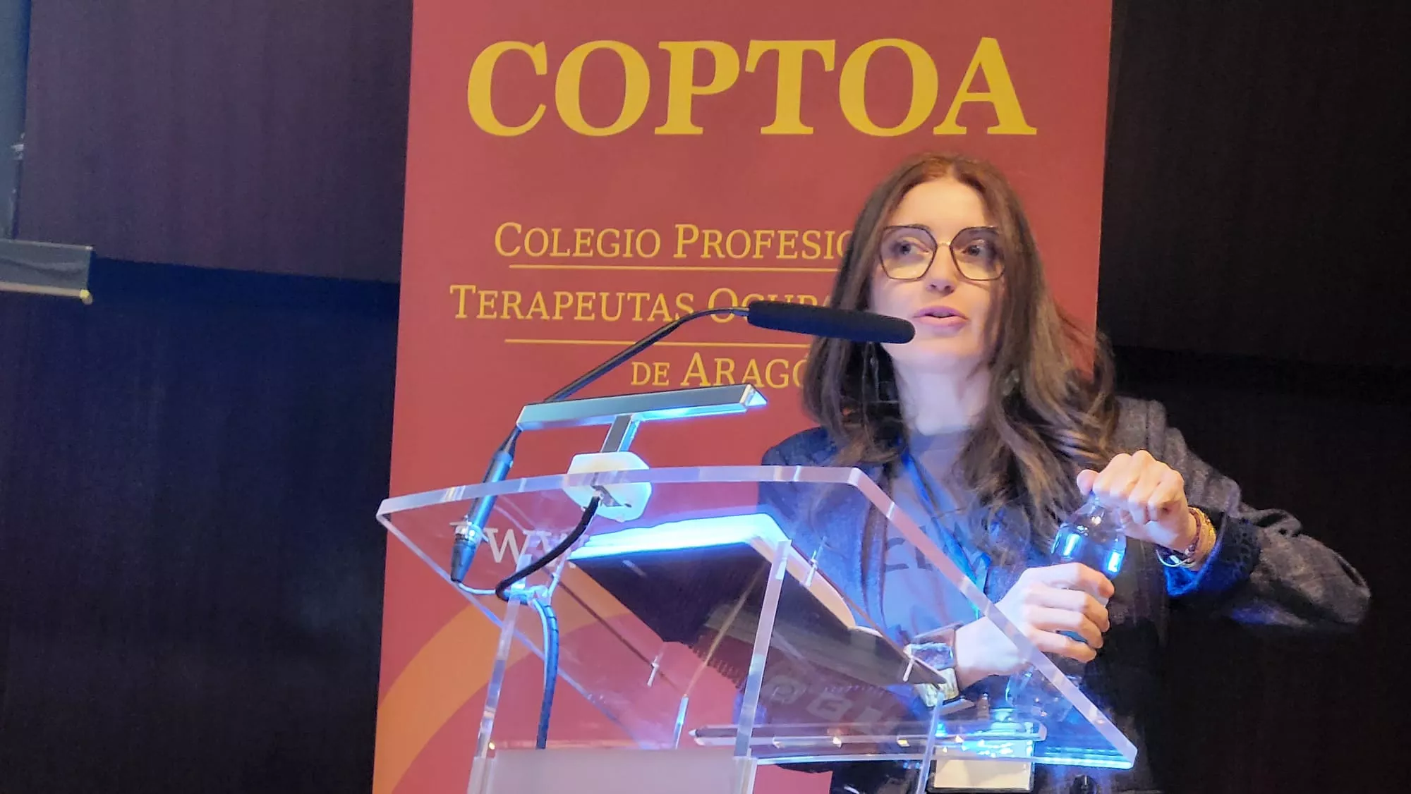 I Congreso de Terapia Ocupacional para Personas con Diversidad Funcional en Huesca
