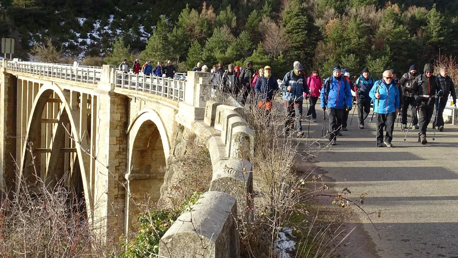 Viaducto de Cubils. Foto Alfredo Zazo